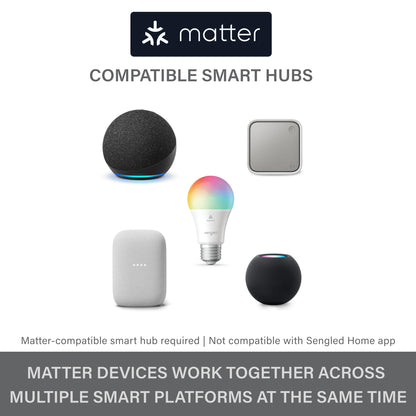 Matter Smart Multicolor LED Light Bulb (A19) – 60W Equivalent, Alexa Compatible, 800LM